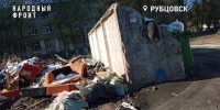 Крысы расплодились в Рубцовске из-за скопившегося мусора - Сетевое издание Толк