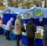 Продовольственная ярмарка 18 октября / Фото: barnaul.org - ИА Амител