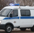 В Барнауле транспортные полицейские задержали вора, похитившего телефон - Комсомольская Правда