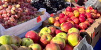 Последние в этом году продуктовые ярмарки пройдут в Барнауле. Адреса площадок - Сетевое издание Толк
