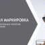 e3bc1e48-9af2-4b31-ac5b-a2573edafa8f.jpeg - Управление промышленности