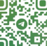 QR-коды возвращаются: диагностический центр Алтайского края ввел пропускной режим - Bankfax.Ru