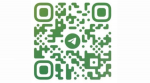 QR-коды возвращаются: диагностический центр Алтайского края ввел пропускной режим