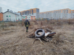 Во всех районах Барнаула на последней неделе октября провели противопожарные субботники