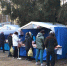 Подведены итоги продовольственной ярмарки в п.Научный Городок - Администрация г. Барнаул