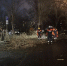 В Барнауле за день зарегистрировали 14 происшествий из-за непогоды - Комсомольская Правда