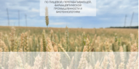 image3.png - Управление промышленности
