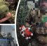 Аптечка от Алисы / Фото: предоставлено фондом "Своих не бросаем" для "КП-Новосибирск" - ИА Амител