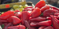 Продовольственная ярмарка в Барнауле / Фото: barnaul.org - ИА Амител