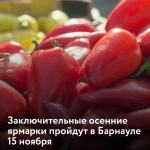 Фото: barnaul.org