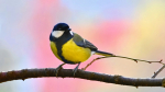 Фото: Freepik