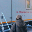Фото: алтайский краевой Центр общественного здоровья и медицинской профилактики - Алтайская правда