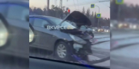Фото: скрин видео - Алтайская правда