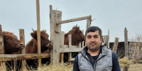 Многодетной семье из Благовещенского района социальный контракт помог в разведении ЛПХ - Минсоцзащиты Алтайского края