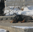 img - ЛДПР