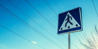 Фото: unsplash.com - Алтайская правда