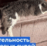   - Управление по обеспечению деятельности судей