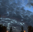 Такой день / Фото: Алина Богомолова / amic.ru - ИА Амител