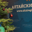 Исполни мечту: в Алтайском крае стартовала Елка желаний - Сетевое издание Толк