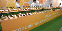 Ученые АГМУ приняли участие во Всероссийском конгрессе пчеловодов - АГМУ