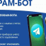 Для помощи потребителям: у Алтайкрайэнерго работает бот-помощник в Telegram - Сетевое издание Толк