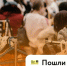 Афиша самых ярких событий на эти выходные / Фото: amic.ru - ИА Амител