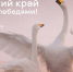 photo_5316806042710641889_w.jpg - Управление по развитию туризма