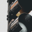 Фото: ru.freepik.com - Алтайская правда