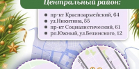 Четыре елочных базара будут работать в Центральном районе - Администрация г. Барнаул