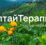 АлтайТерапия: счастье через край.jpg - Управление по развитию туризма