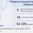 ТИКи Алтая 2025-2030: Сформирован новый состав Рубцовской городской территориальной избирательной комиссии - Избирательная комиссия