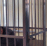 В Алтайском крае перед судом предстал руководитель общественной организации адаптации бывших осужденных, обвиняемый в оказании небезопасных услуг - Следственный комитет