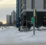 Фото: администрация Барнаула - Алтайская правда