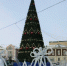Новогодний городок на площади Свободы / Фото: barnaul.org - ИА Амител