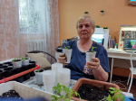 От семечка до урожая: итоги проекта «Удачная жизнь без границ» в Славгороде