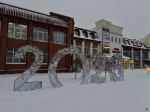 В Центральном районе Барнаула открыли районную новогоднюю ёлку