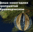 Новогодняя сказка в краеведческом музее: мастер‑классы, лекции и семейные квесты - Администрация г. Барнаул