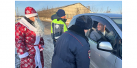 Фото: ГУ МЧС России по АК - Алтайская правда