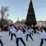 В новогодние каникулы в городских учреждениях культуры прошли праздничные мероприятия - Администрация г. Барнаул