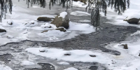 Фото: Диана Кузнецова - Алтайская правда