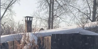 img - ЛДПР