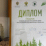 Дипломом и памятным подарком награжден Алтайский край за активное участие во Всероссийской акции «Сохраним лес» - Администрация Алтайского края