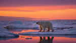 Фото: Freepik