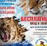 42f0347b-0449-41b1-9a04-086fe1df990b.jpeg - Администрация г. Барнаул
