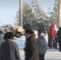 лес в АБ - Bankfax.Ru