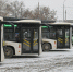 Более 1,8 млрд рублей потратят на улучшение общественного транспорта в Барнауле - Сетевое издание Толк