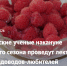 Фото: Минсельхоз АК - НИА Алтай