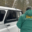Количество незаконных рубок снижается в лесах Алтайского края - Минприроды Алтайского края