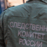 СКР разбирается в инциденте / Фото: СКР - ИА Амител