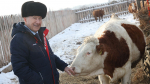В крупнейшем сельхозпредприятии Алтайского края ждут молодых специалистов Фото №1